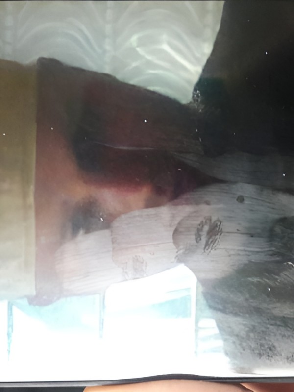 Тамара из Тайшет